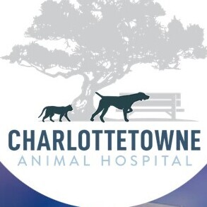Team Page: Charlottetowne Animal Hospital